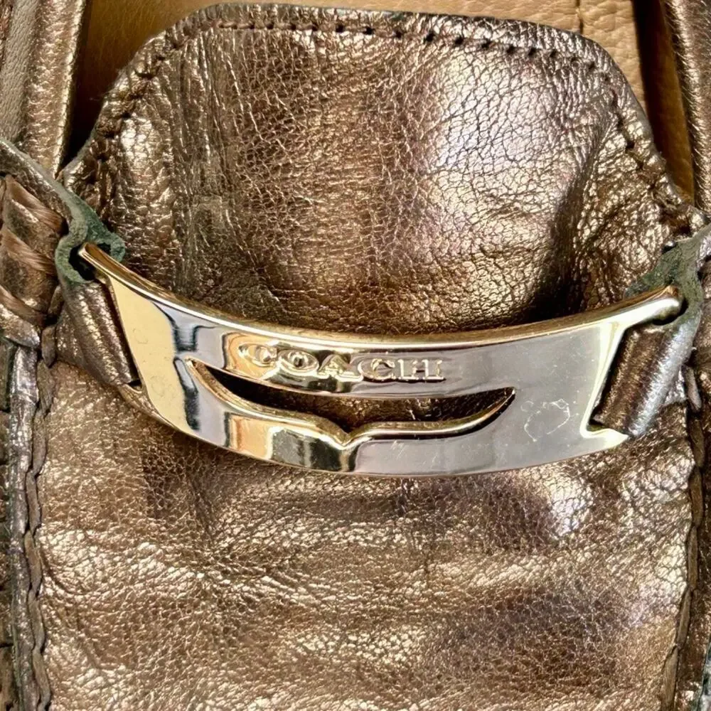 Coach Pewter 